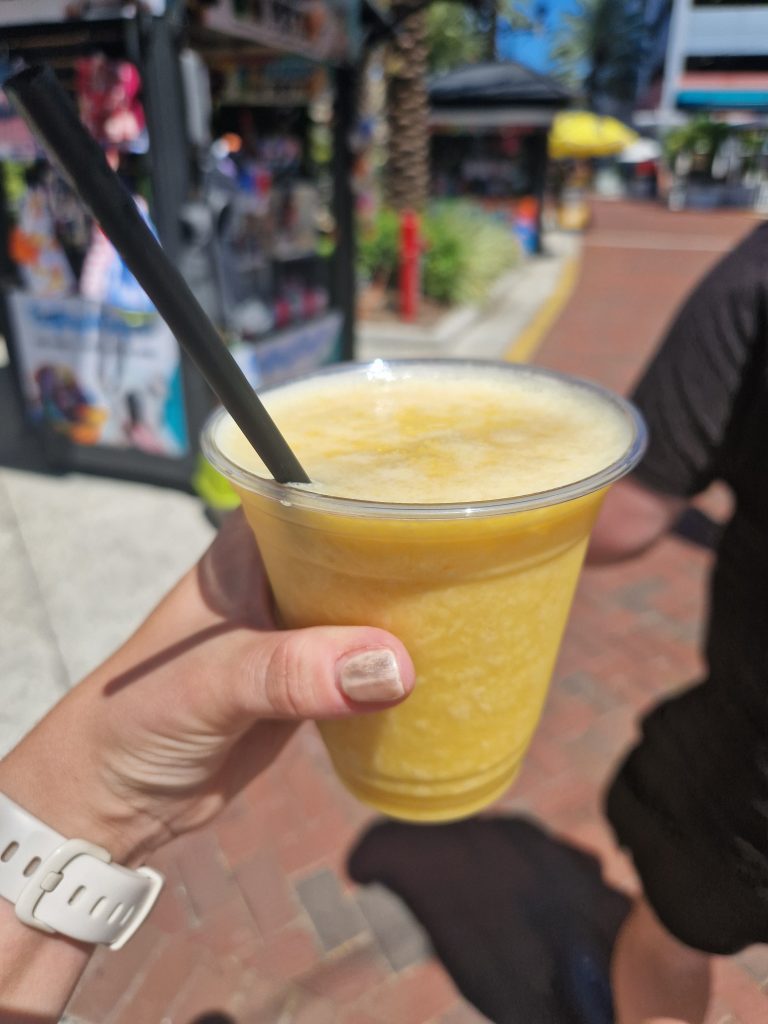 Two week Orlando itinerary - Icon Park