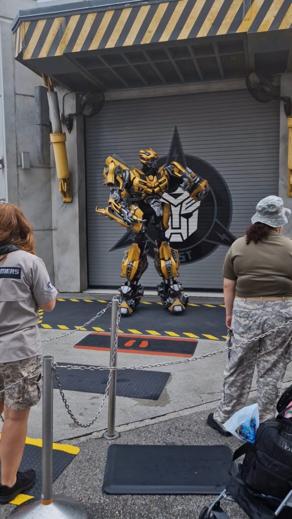 Meet and greets - Bumblebee